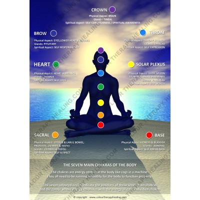 Chakras of the body poster  - PDF Download