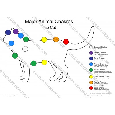 Chakras of the Cat Poster - PDF Download