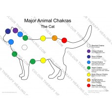 Chakras of the Cat Poster - PDF Download