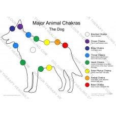 Chakras of the Dog Poster - PDF Download