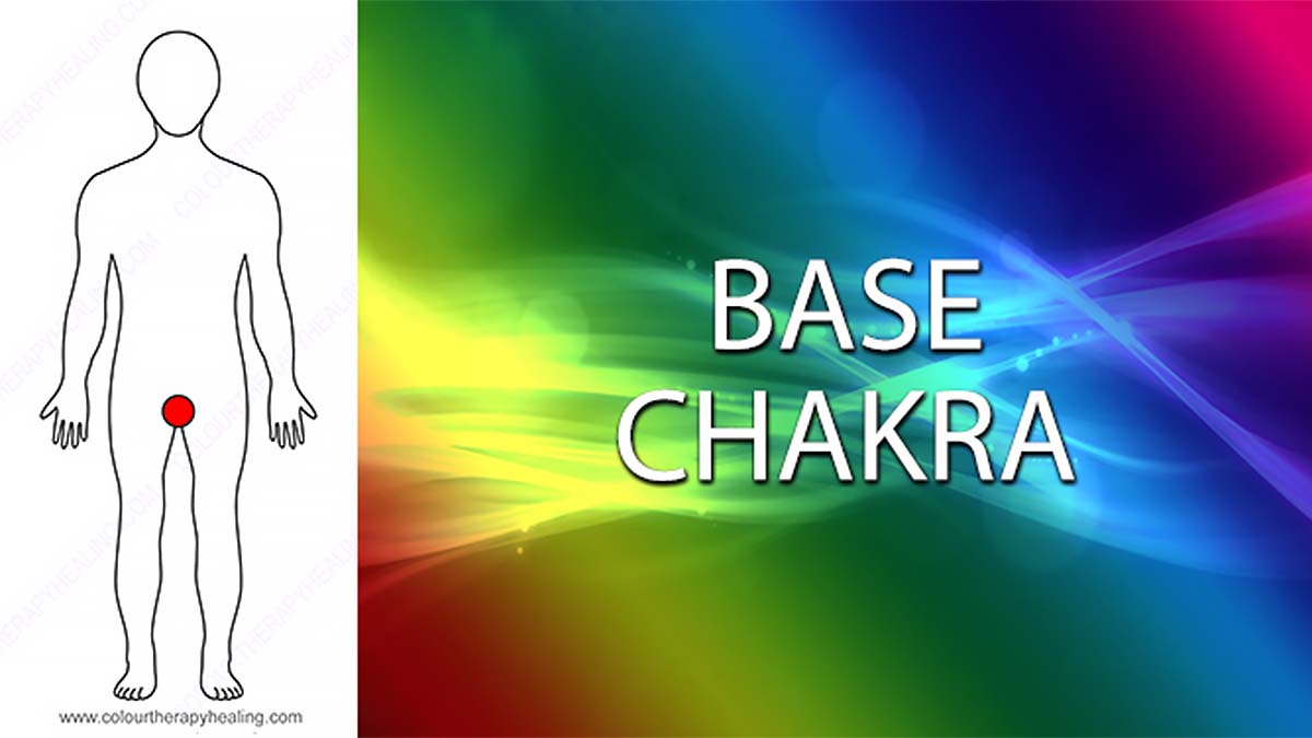 A colourful illustration showing the Base chakra of the human body