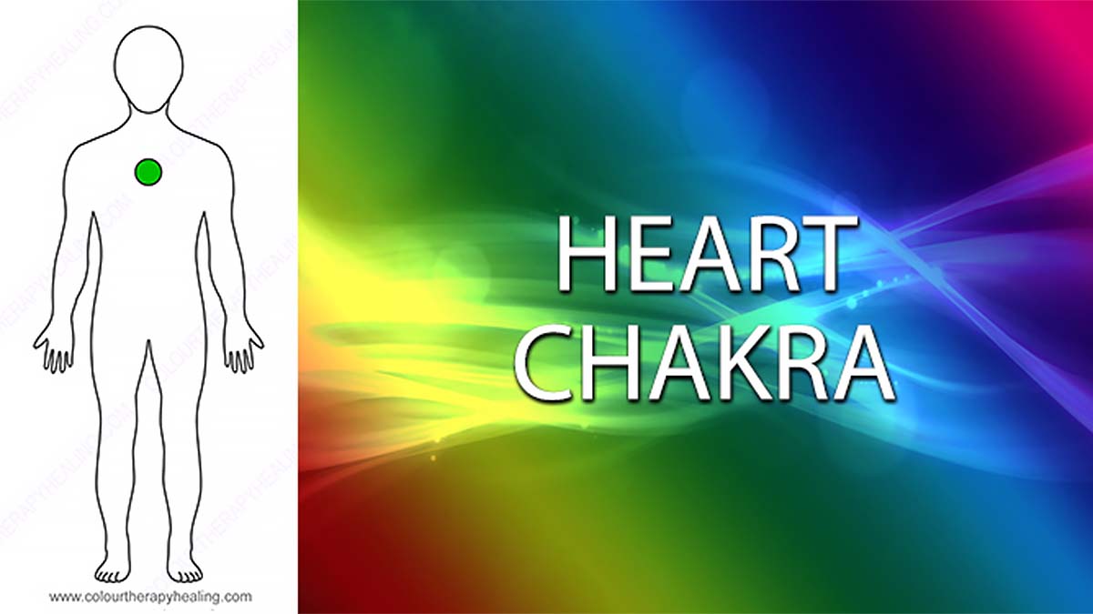 A colourful illustration showing the Heart chakra of the human body