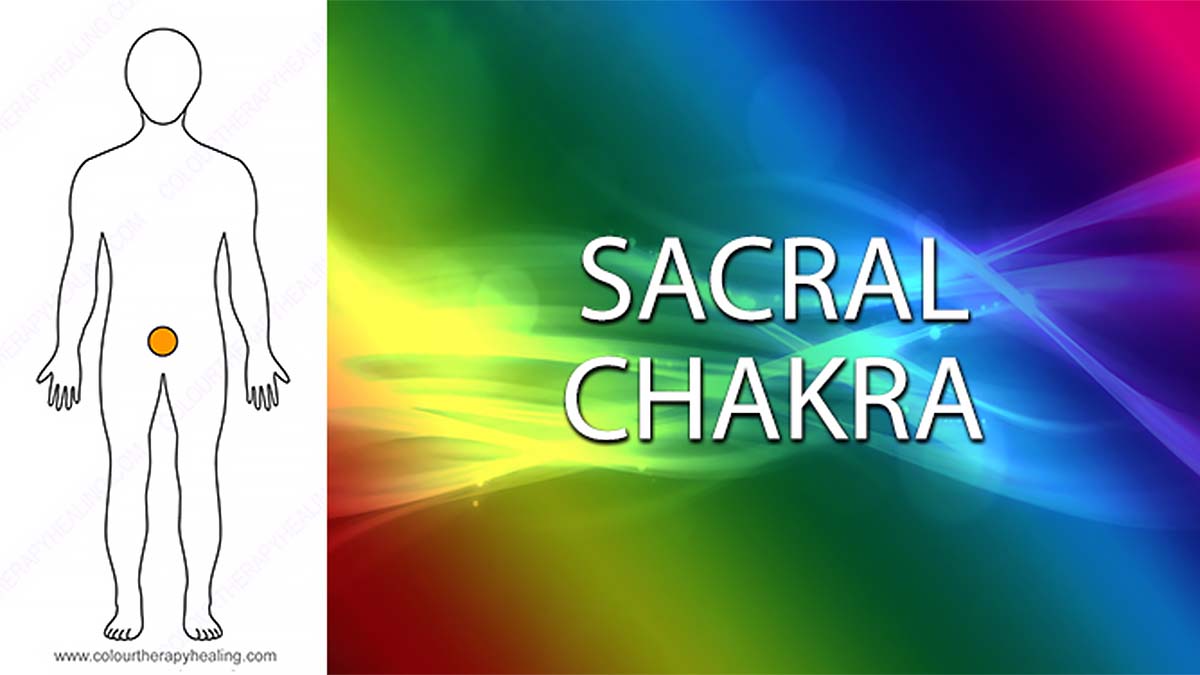 A colourful illustration showing the Sacral chakra of the human body